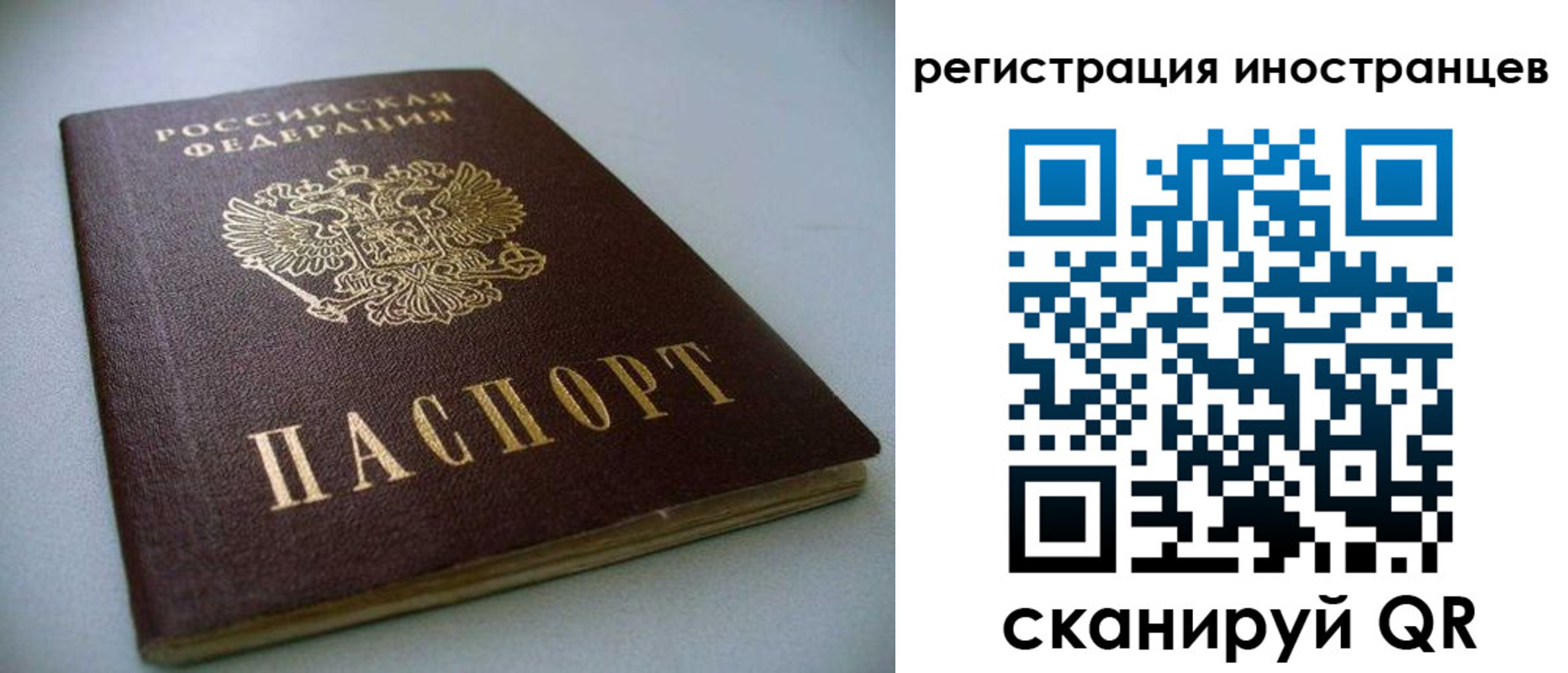 пропишу в квартире в Борзе